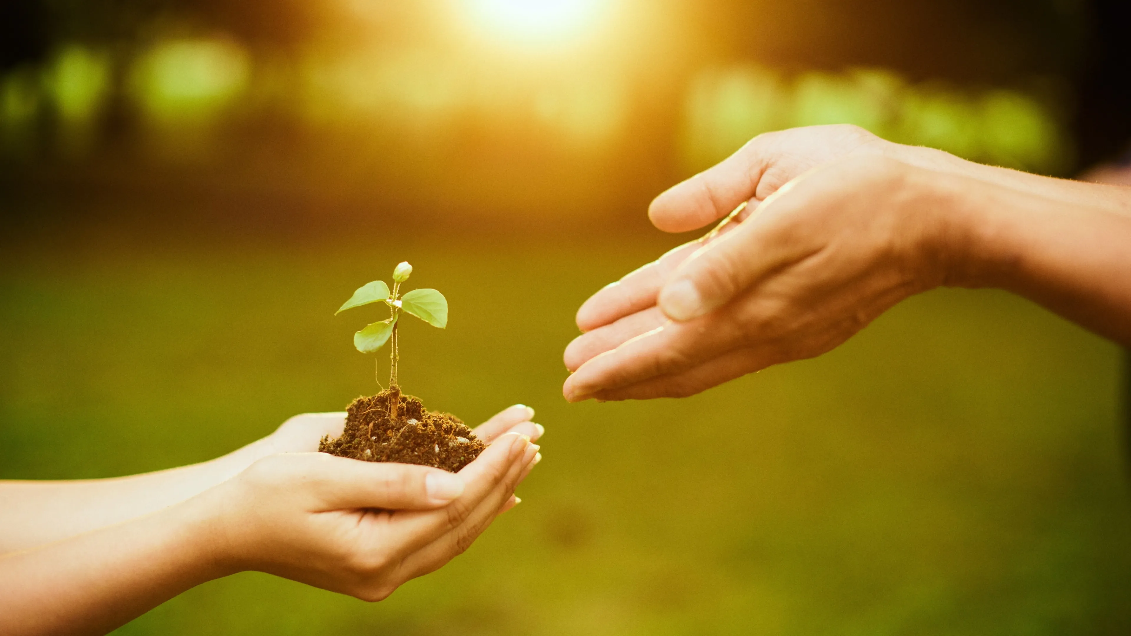 メインビジュアル 9